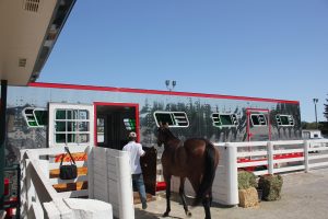 IMG_0570-300x200