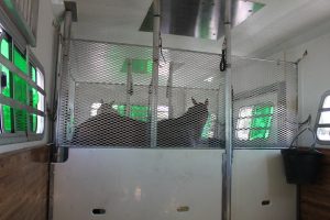 IMG_0572-300x200